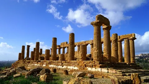 華盛頓家族喜迎新成員，多子女家庭生活增彩