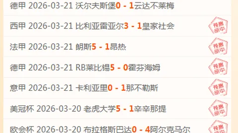 第2026101期 大乐透2026101期十大专家质合推荐